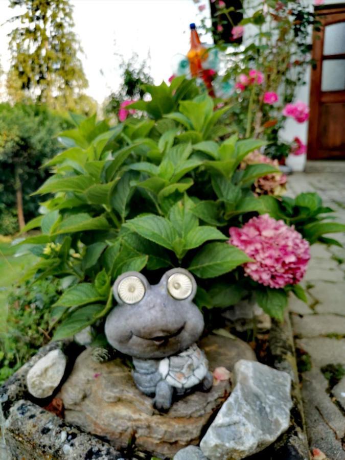 Pension Treissmann Pichling bei Stainz Exteriör bild