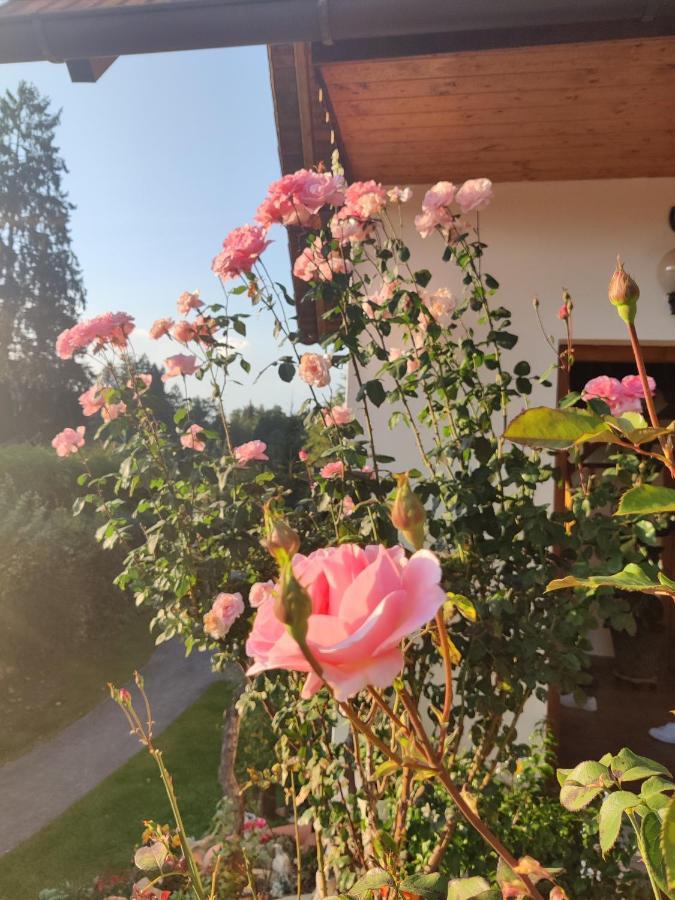 Pension Treissmann Pichling bei Stainz Exteriör bild